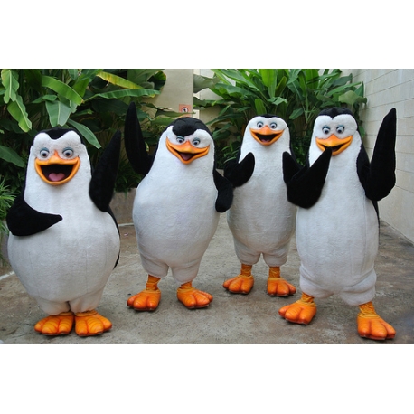 Mascotte Pinguini (l'uno)