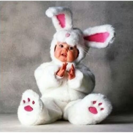 Mascot Costume Rabbit