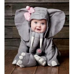 Mascot Costume Elephant