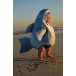 Mascot Costume Shark