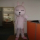 Mascot Costume Little Rabbit Manga